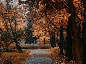 When Being Strong Costs You Your Softness