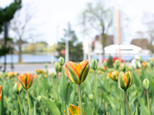 Shake Off Winter: Get Ready for Spring Break at JASK 