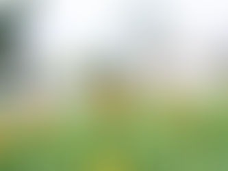 Shake Off Winter: Get Ready for Spring Break at JASK 