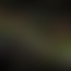 World’s vast networks of underground fungi to be mapped for first time