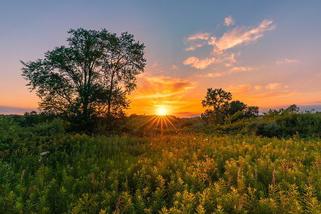 Image by Dave Hoefler