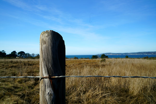 Image by Tim Photoguy