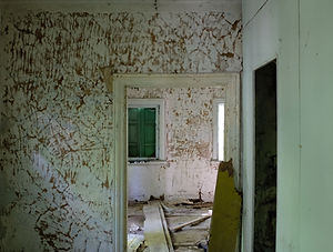 Image by Samuel Ryde