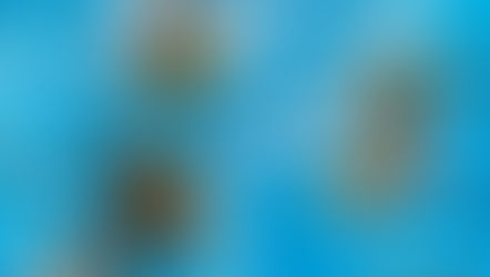 Studio This Week. (8月24日-8月30日)