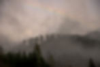 foggy morning