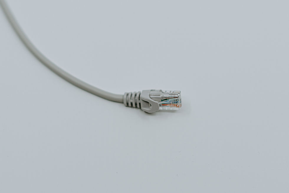 Image by Claudio Schwarz