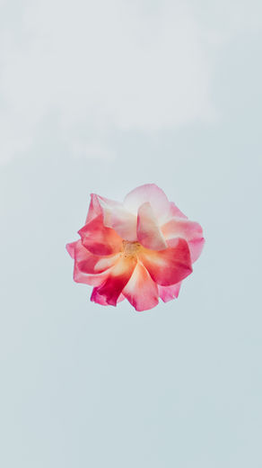 linger