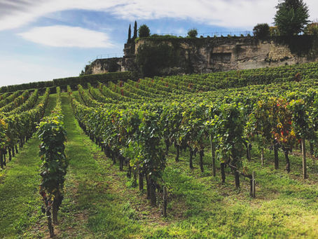 Wine Travel & Retreats – Take the Next Step