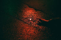 Image by Markus Gjengaar