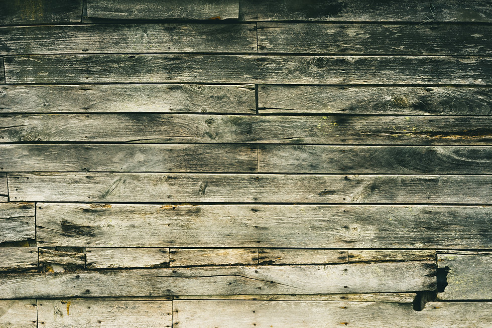 Image by Ehud Neuhaus