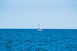 Image by Gautam Krishnan
