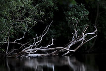 Image by Michael Held