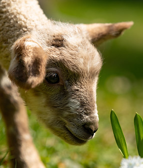 Image by Daniel Krueger