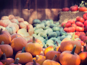 Idées de repas pour l'automne