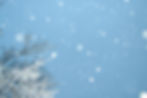December Consultation Group