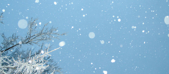 A Holiday Blessing from the Collective - December 24, 2021