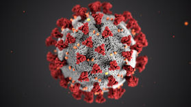 ​Statement on the Coronavirus Epidemic and Homeopathy