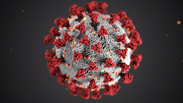 Image by CDC