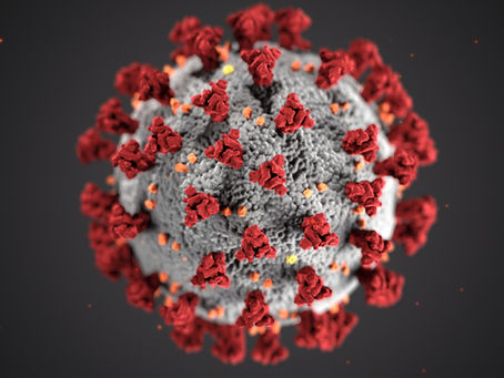 Coronavirus and the great rebalancing