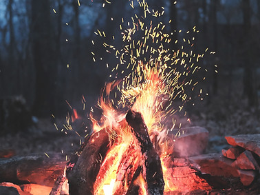 Image by Wren Meinberg
