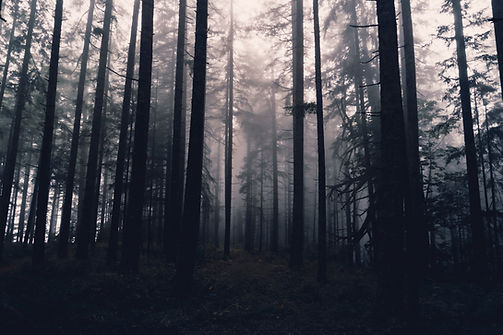 Image by Dan Meyers