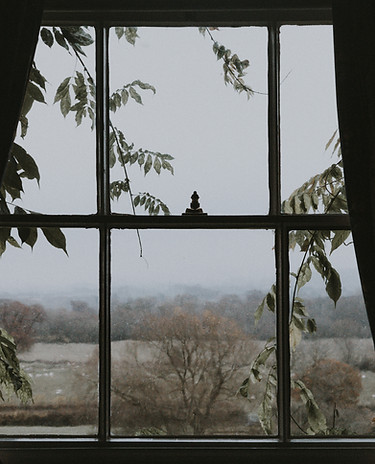 Image by Annie Spratt