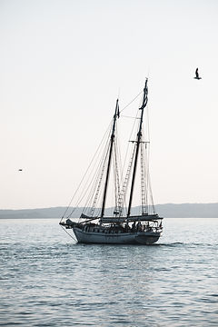 Image by Joshua Fuller