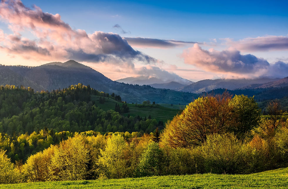 "Klang & Präsenz" Retreat im Waldviertel