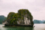 Image by Ashim D’Silva