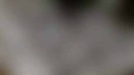 Appell an die Politik: Sofortmaßnahmen für den Mittelstand!