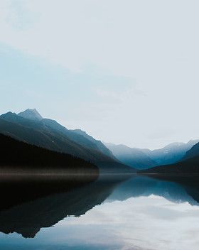 Image by Ivana Cajina
