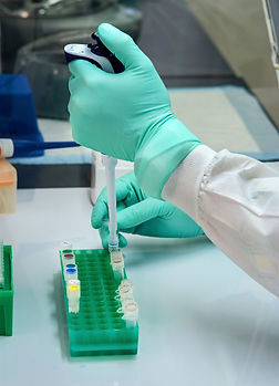 Image by CDC