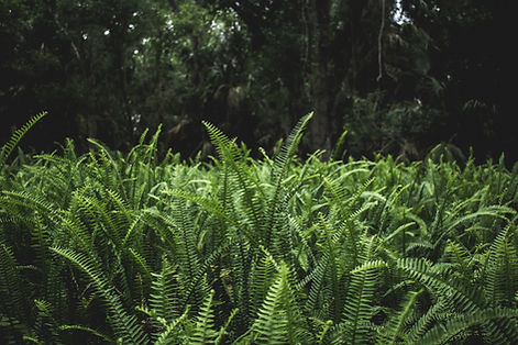 Image by Ben Lockwood, PhD