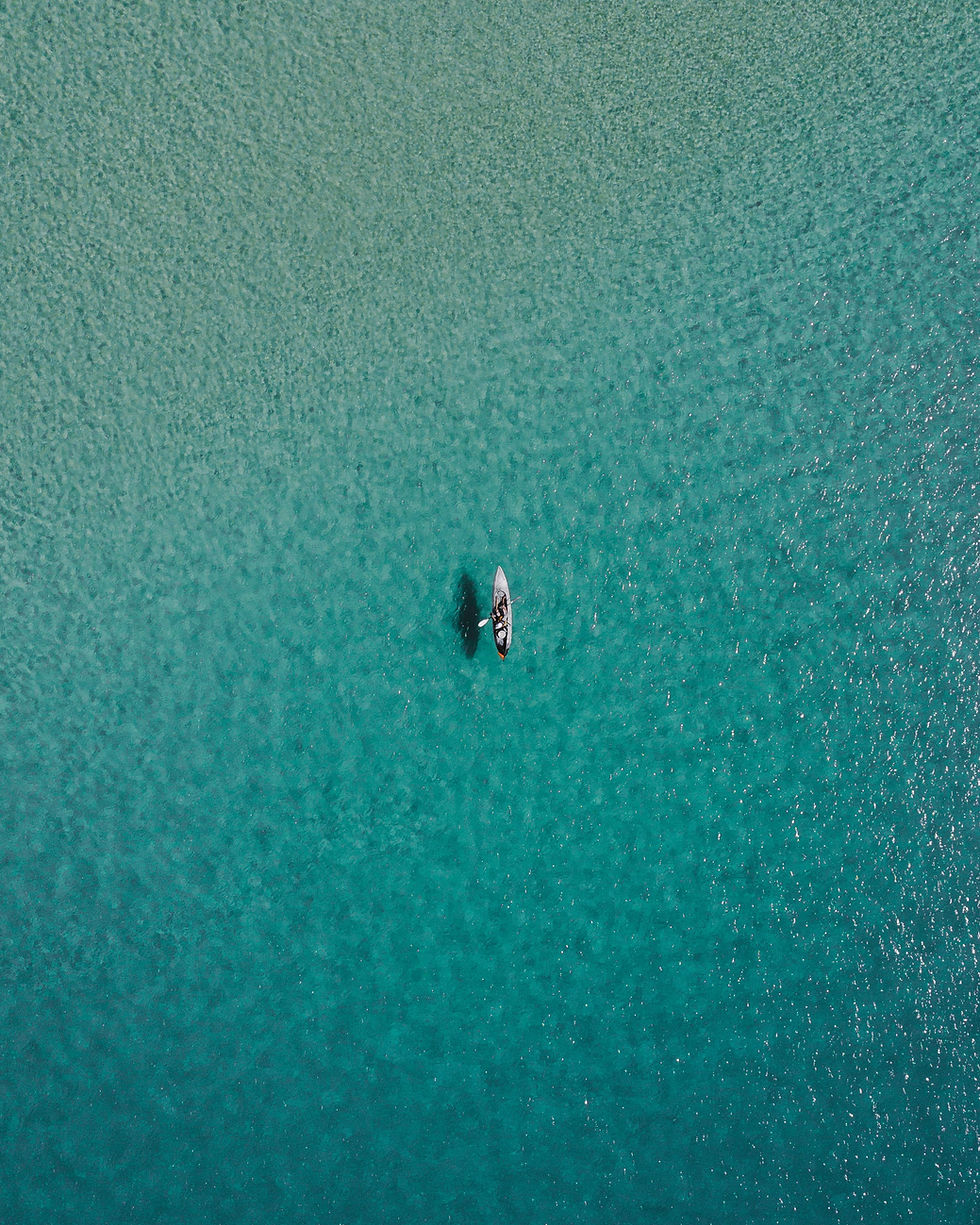 Image by Lachlan Dempsey