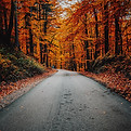 Image by Benjamin Voros