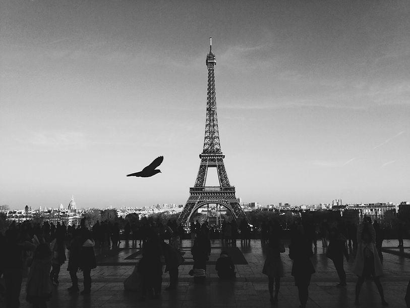 Image by Louis Pellissier