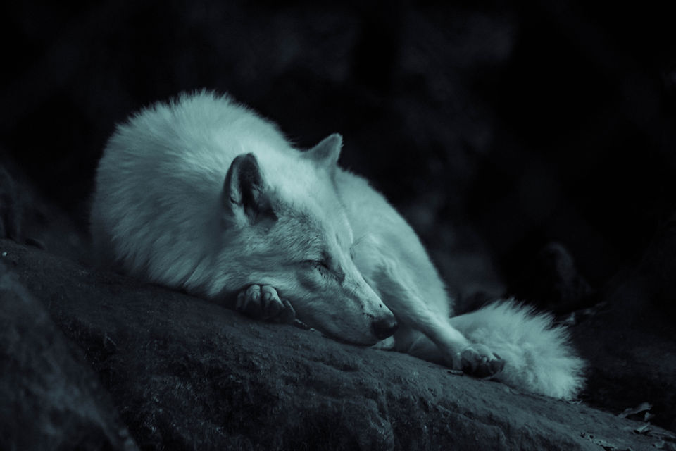 Image by Grégoire Bertaud