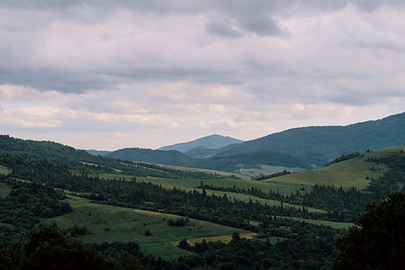 Image by Rodion Kutsaev