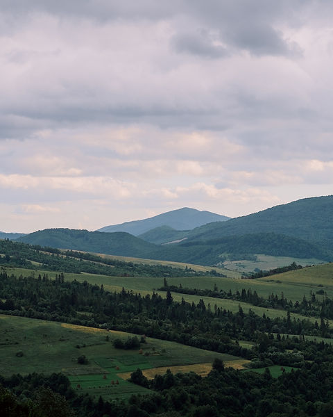 Image by Rodion Kutsaev