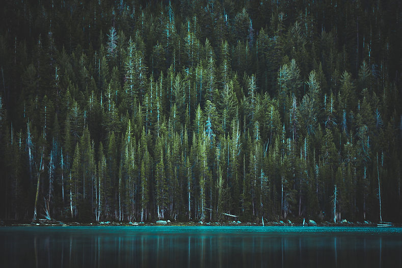 Image by Casey Horner