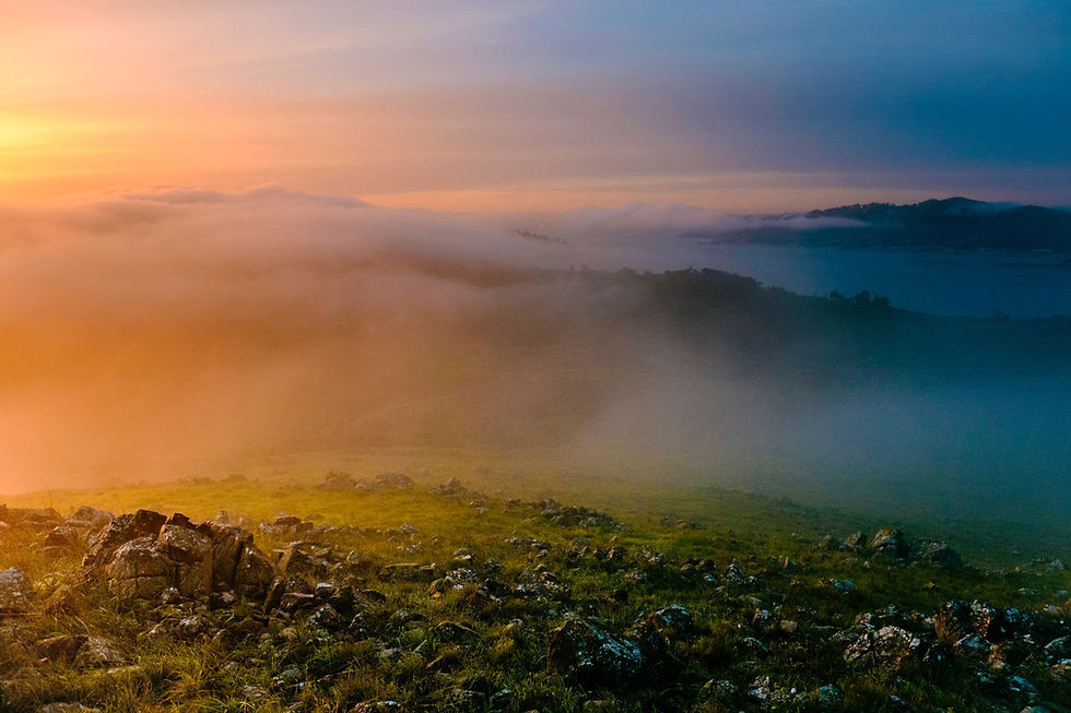 Image by Todd Diemer