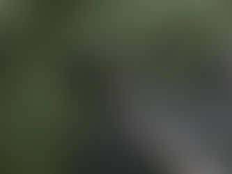 Victory Gardens at the Marysville Farmers Market! 🌿