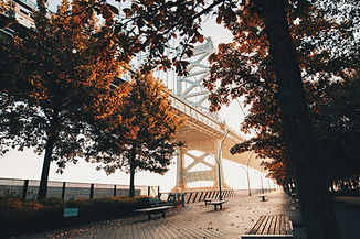 Image by Devon Wellesley