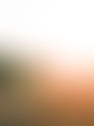 I Will Fight Forever