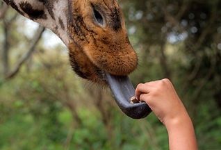 Image by David Clode