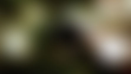 「疫起生活聖言」徵文比賽獲獎名單公告、頒獎時間