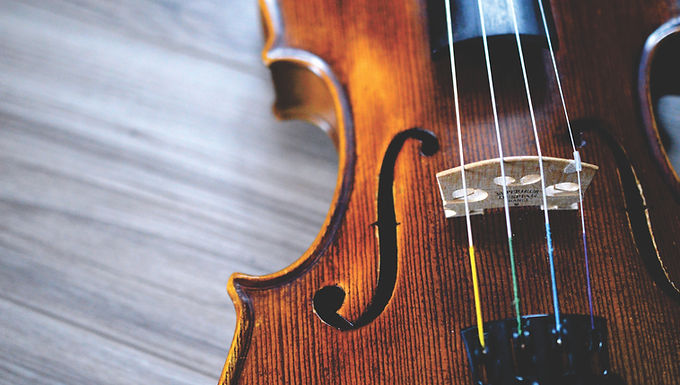 Violin