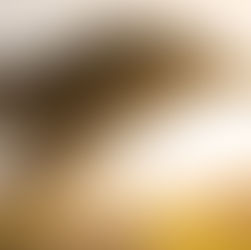 אמצו שאלה: מה יצא טוב מהקורונה?