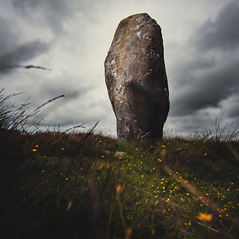 Image by Daniel Morris