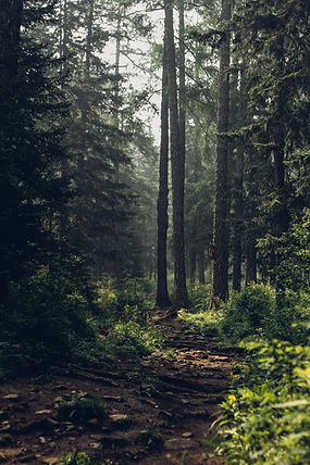 Image by Degleex